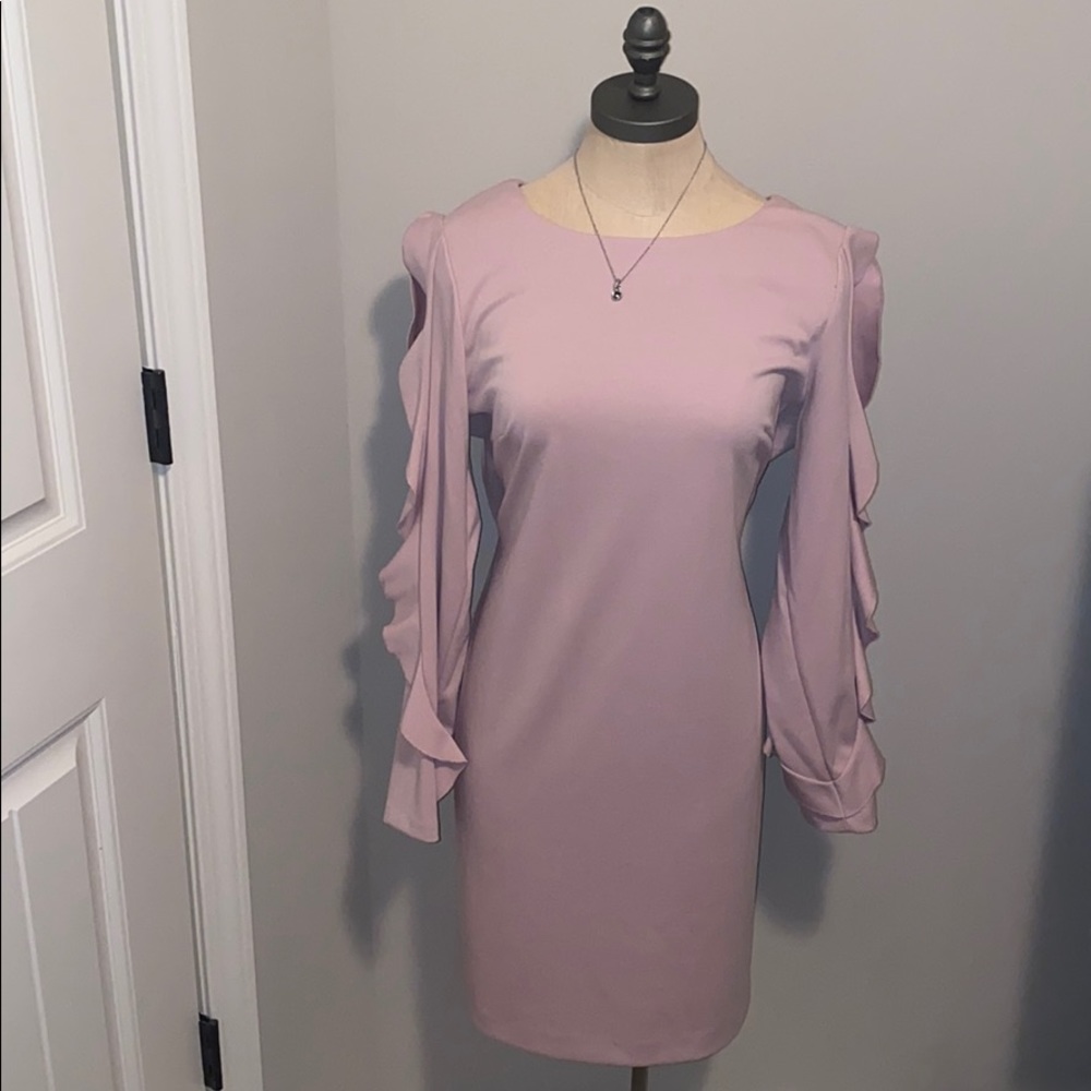 Donna Karan Size 12 Blush Pink Ruffled Sleeves